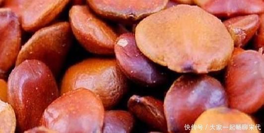 红枣仁|经常失眠睡不好?1种小零食别放过,每天吃点,家人鼾声也难吵醒