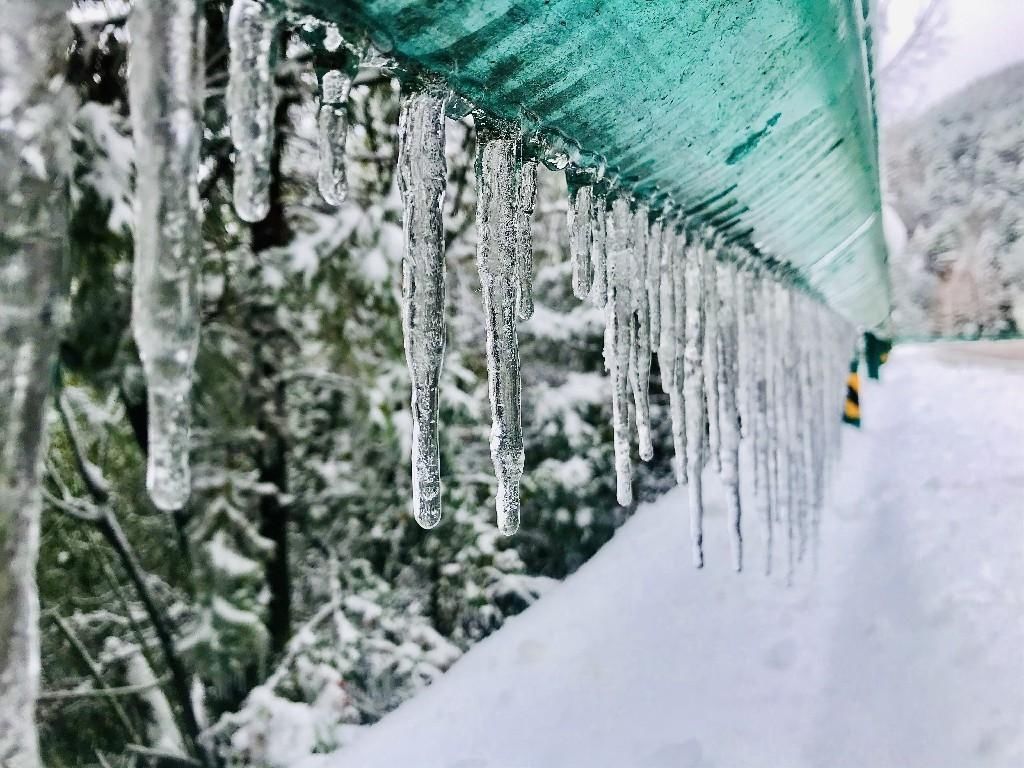 巫溪县文峰镇|巫溪：雪景美如画