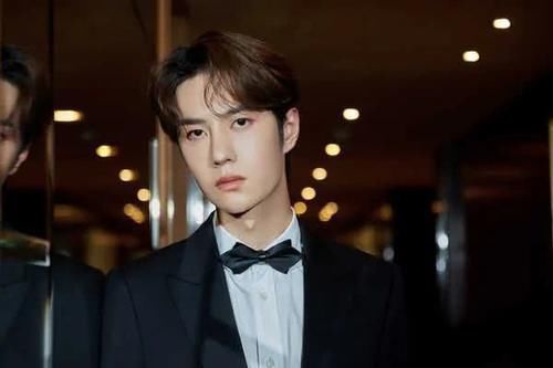 事件|肖战事件中的“主角”王一博“毫发无伤”,没被牵扯进去就对了