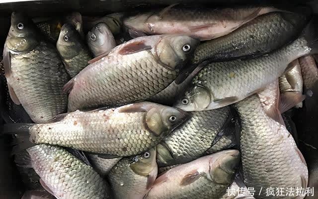 钓具|会钓鱼的一根杆,不会钓鱼的杂货铺