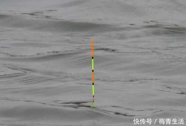 漂相不中鱼|浮漂顶起又落下，提竿却均不中鱼解读3种奇怪漂相不中鱼的原因