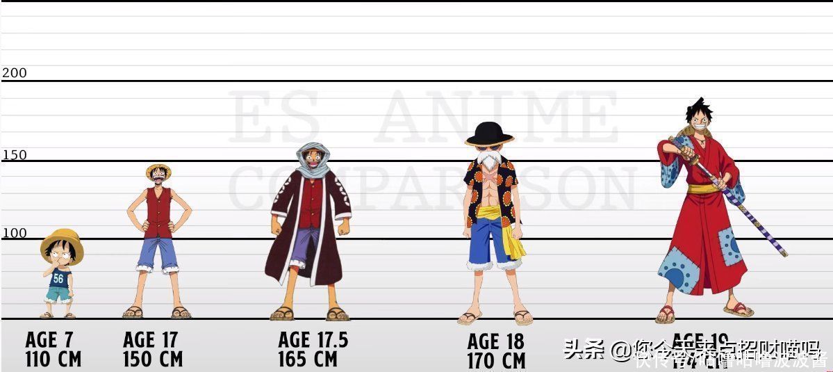 路飞|海贼王时隔24年,草帽军团成员发生了哪些变化?