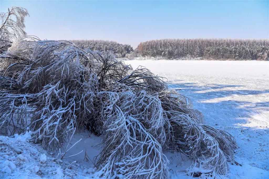 心间|净月潭的雪，美在山川，暖在心间！