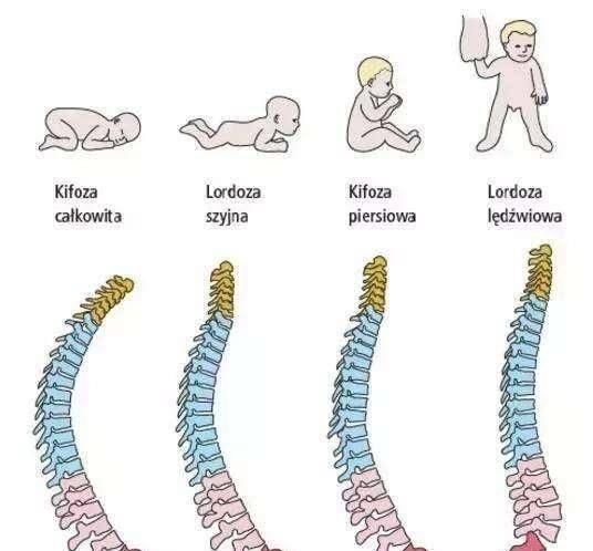宝宝|这两样宝宝用品，孩子一岁之前基本用不上，孕妈别着急买哦