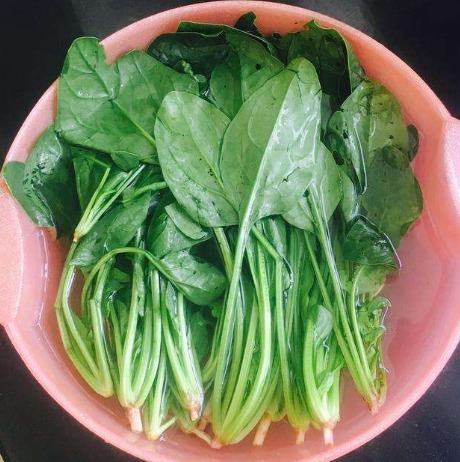 小葱|它是天然“黄体酮”,美容养颜,延缓衰老,女人过了30要常吃!