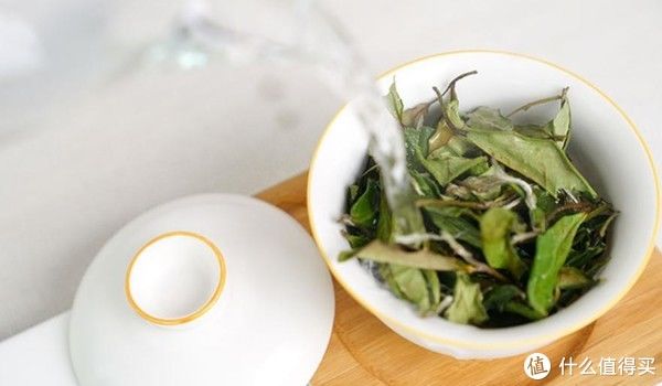 究竟|白茶寿眉详解，究竟是枯树叶还是茶珍宝？