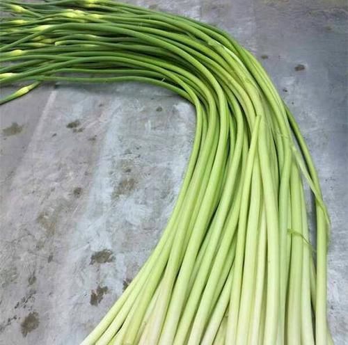 女人想减肥,春天多吃的食物,消脂排毒,改善肠胃健康,肌肤更好