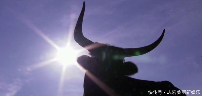 基因|纳粹掌握了基因改良技术?史前巨型野牛复活计划居然成功了