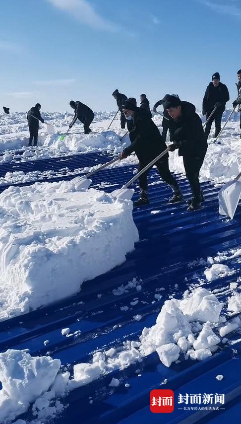 牛棚|内蒙古通辽暴雪致8个旗成灾损失3.5亿 市民30小时救援70台车