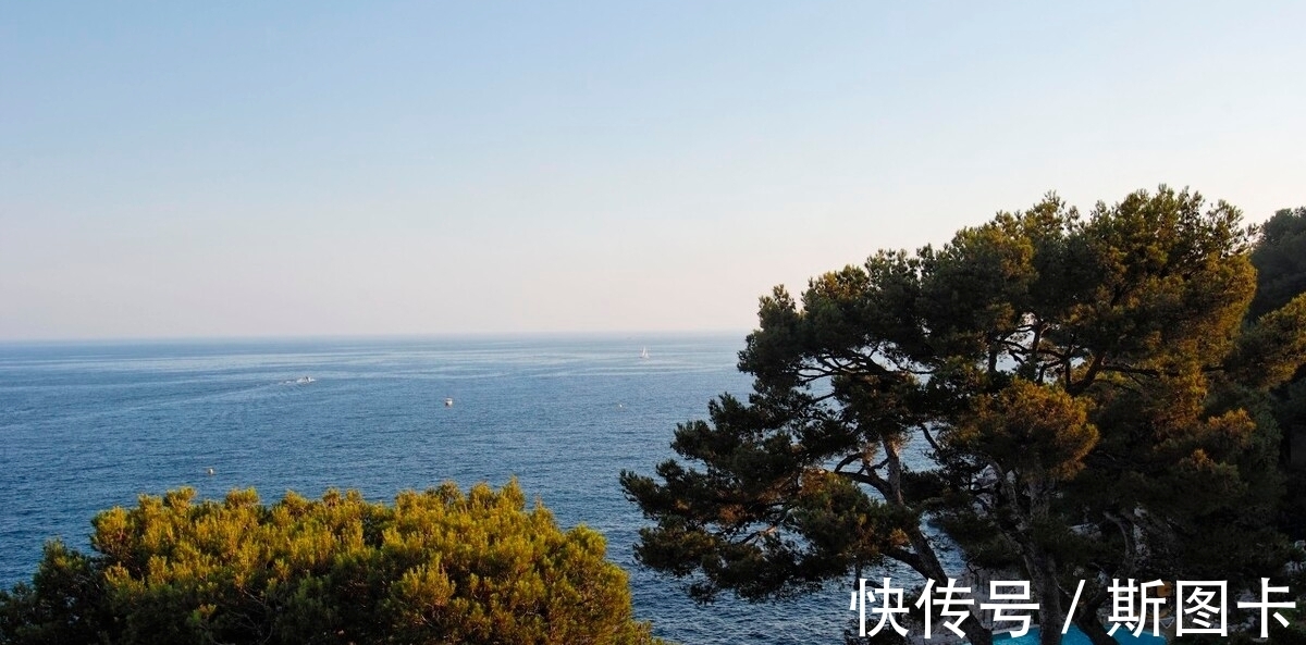 李商隐$从此静窗闻细韵,琴声长伴读书人。意蕴悠长的小松古诗,值得欣赏