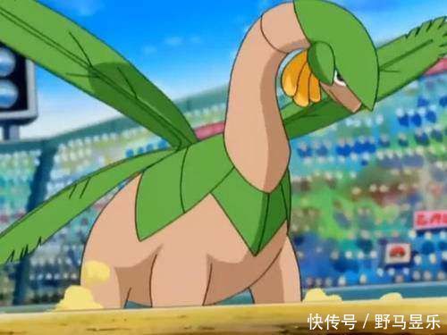 口袋妖怪最容易被错认为龙属性的宝可梦,暴鲤龙已经哭晕在厕所