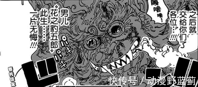 赤鞘九侠|海贼王1007话:乔巴怒揍奎因,神秘人并非艾尼路,也非阿金