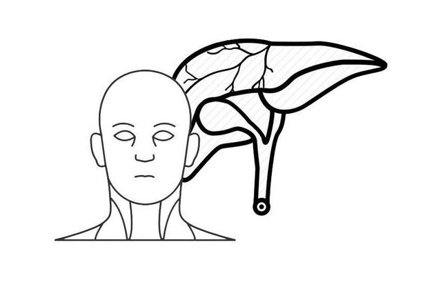 b超|怀疑自己得了肝癌，该怎么诊断？这6个诊断方法，你需要弄清楚
