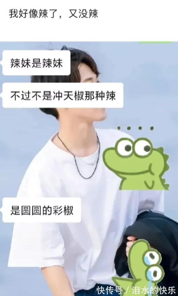 |今日笑话:下雨天出门的狗狗