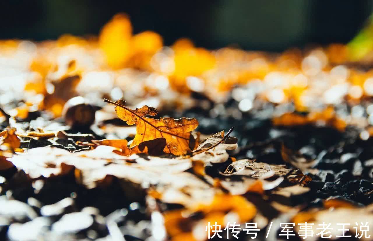 杨公远$30个岁月静好的诗词,心烦的时候,就这样治愈自己!