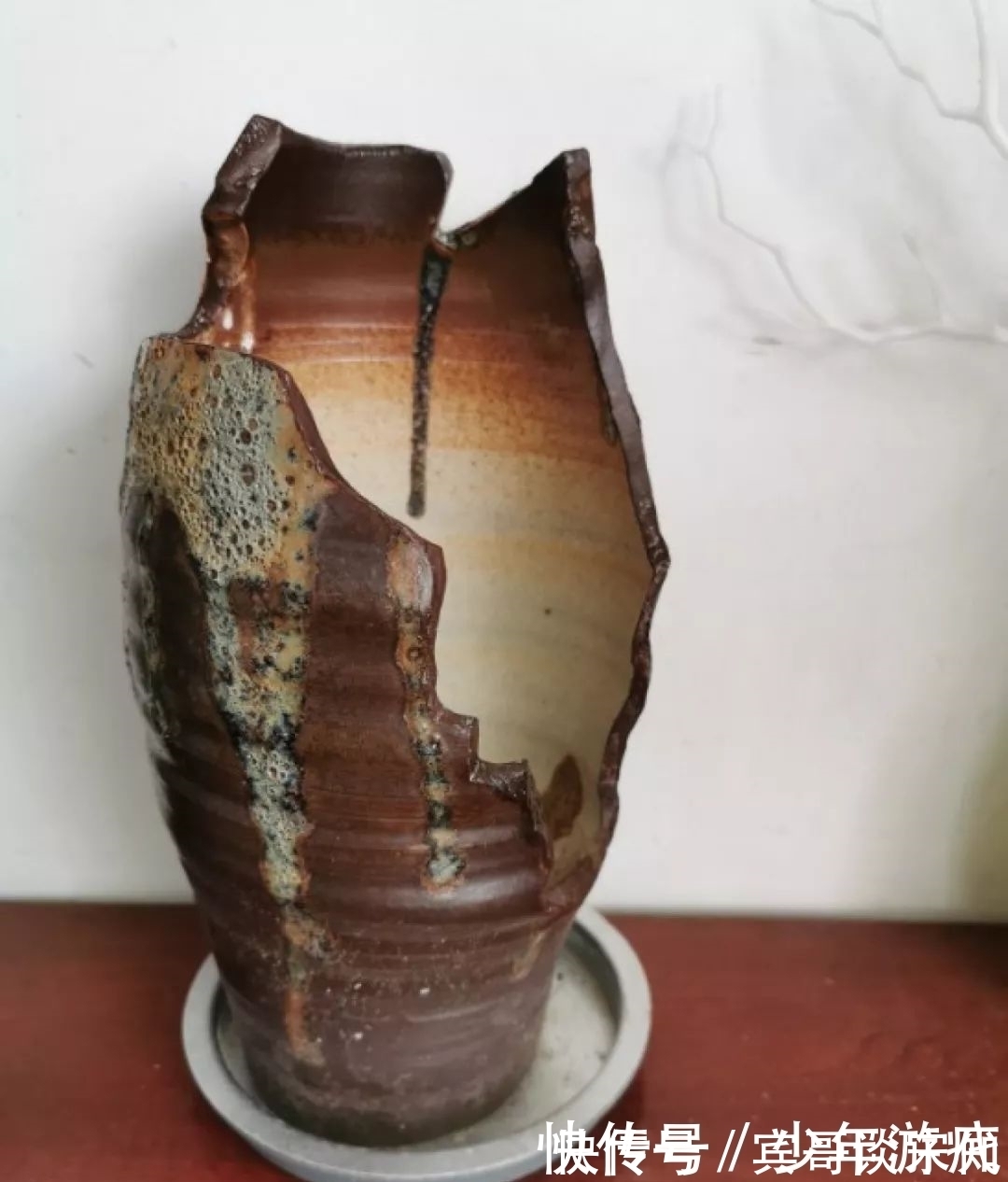 花园|养花技巧：客厅养一堆便宜花，一年四季开不停，没钱也能变花园！