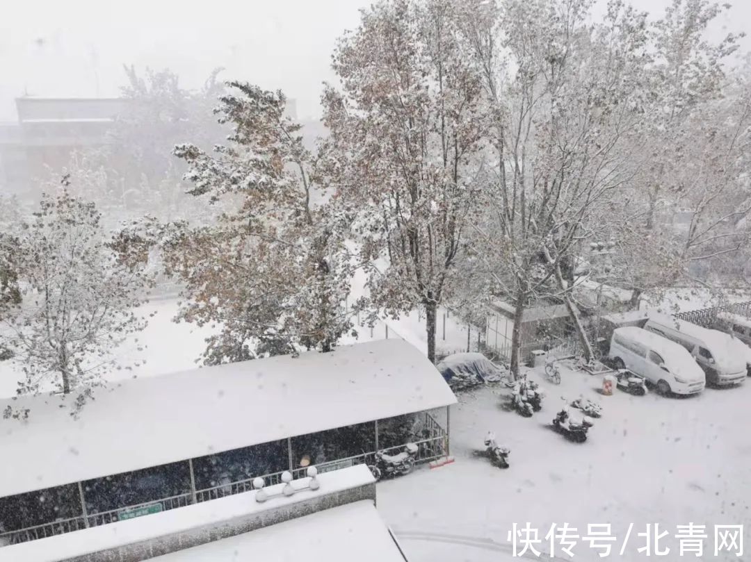 气象史|如约而至！山东今冬第一场雪发货了