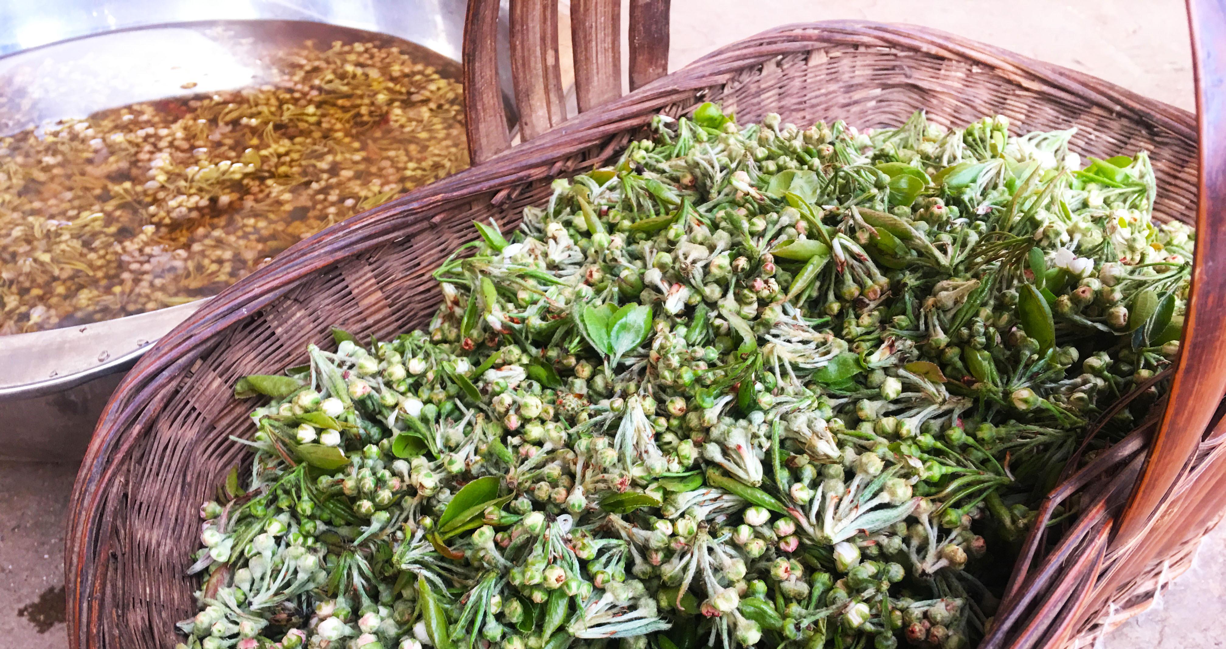 减肥|女性要变美,不妨多吃好的食物,排毒刮油,减肥瘦身,更显苗条