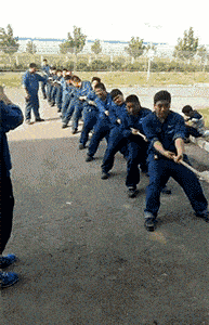 |搞笑GIF:4块钱的营养快线,硬是喝出了茅台的味道!