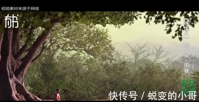 佛陀&世上无人如悉达多一般孤独