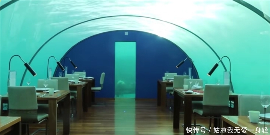 蚝油的正确食用方法,做菜更美味!