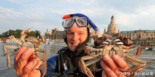 泛滥成灾|印度鲶鱼泛滥成灾,向日本求助遭拒,中方的做法备受称赞