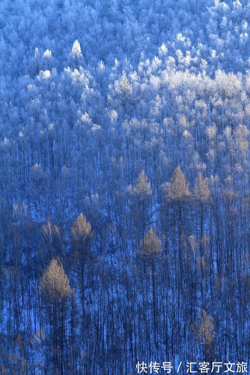 北方|北方初雪！10个让国人艳羡的赏雪地，你去过几个？