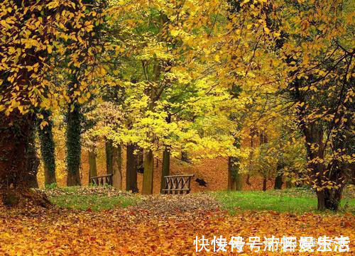 阴历|阴历哪几天出生的孩子,智商高,一个比一个有前途,事业大成