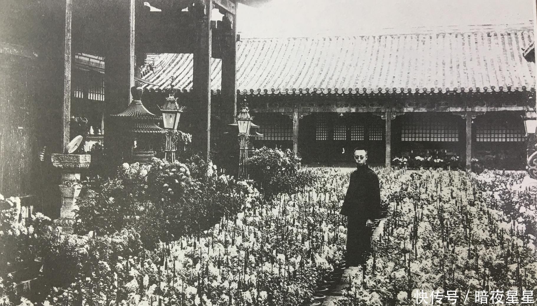 珍贵|溥仪珍贵老照片,他“飞檐走壁”,站在紫禁城房顶看外面的世界!