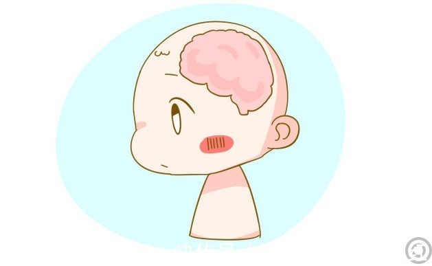 大脑|宝宝大脑发育“黄金期”一生只有一次,爸妈要抓住,后天提升很难