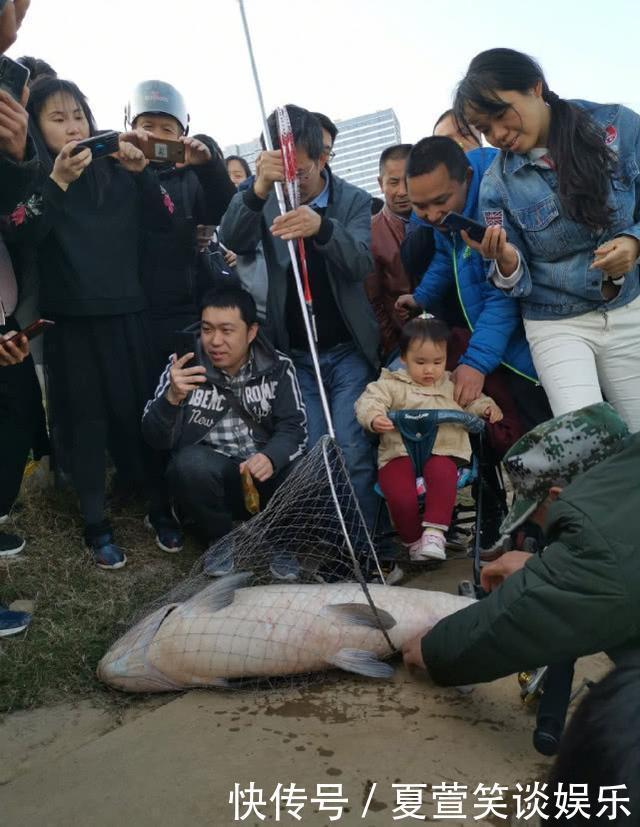  老人湘江边钓上一米多长的大青鱼，圆滚滚的像小猪