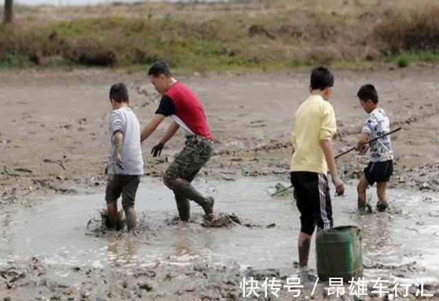 专家|为啥城里娃小病不断，农村娃却很少生病？这位微生物专家说了实话