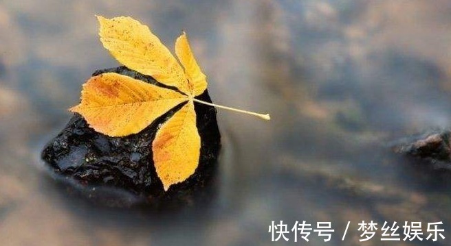 山药|红薯、山药靠边站,它才是地下宝物!百岁老人都在用的长寿秘方!