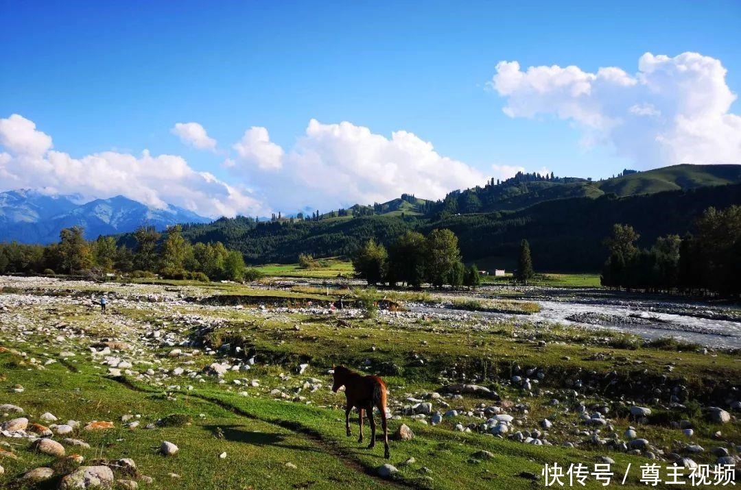 喝牛奶|广东女孩到新疆旅游，在天山下牧民村呆了半个月，每天喝牛奶吃馕