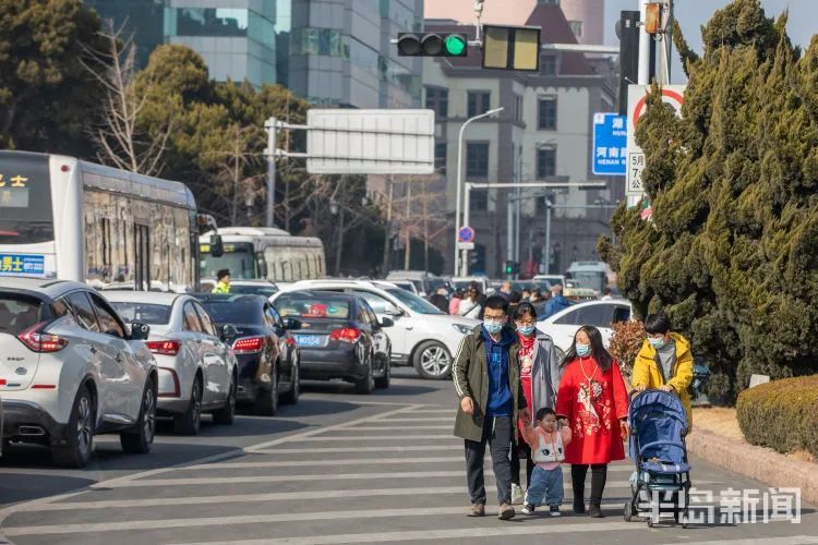 青岛栈桥的人啊…怎么形容呢！网友举着馒头大半天，都没喂出去！海鸥：真吃不下了