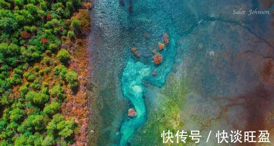 青杨林|如果有一天我选择去流浪，那这个地方肯定就是稻城