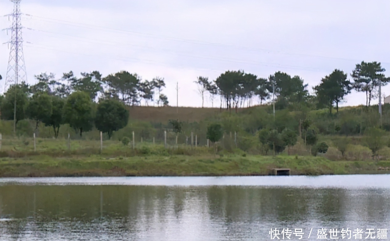 大鱼|“小杂鱼闹窝”如何解决?其实方法很简单用过都说好——盛世三渔