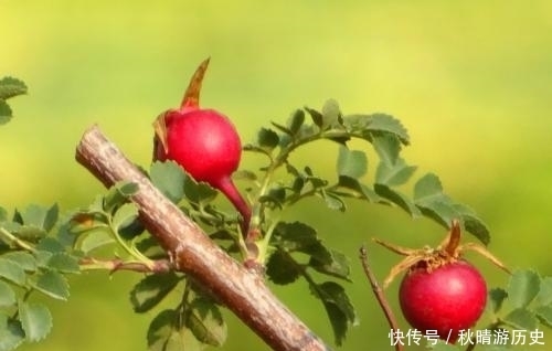 厉害|真正厉害的人,都有这样一个特质,值得大家学习