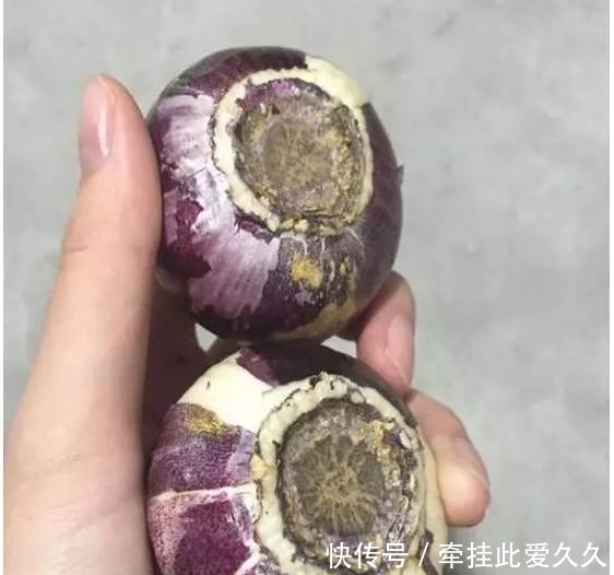 根全烂了别扔,这样做,分分钟把花救活!