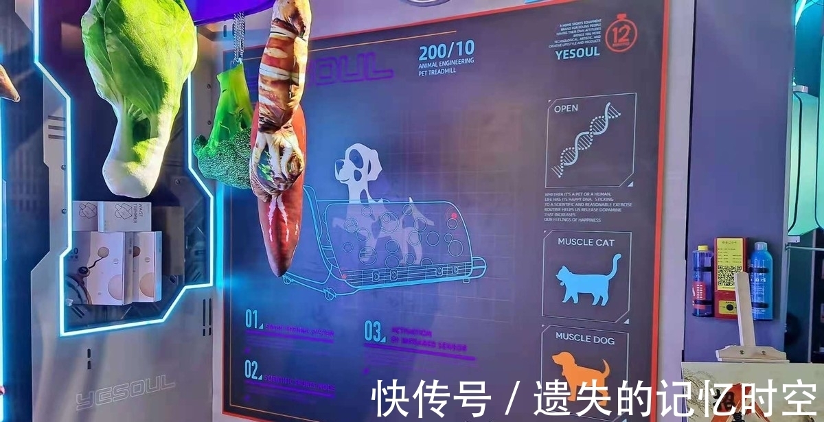 柯基|淘宝造物之城探险对抗虽败犹荣，明年再战！