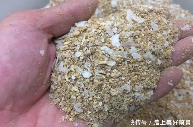 别再问夏季钓鲫鱼用什么味型,以这3种味型为主搭配即有效