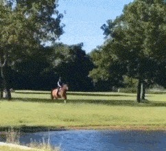 |搞笑GIF段子:学游泳,狗爬式,一个多礼拜终于有所小成