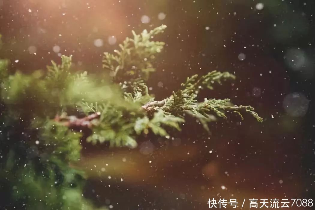 平水韵|七绝《心绪乱》平水韵