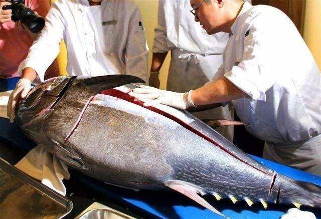 世界十大名贵海鲜前五都是谁一看都眼熟，但你又知道有多贵吗