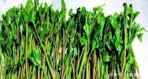 脑圣药|这种植物是醒脑圣药,但却也是“新型罂粟”,很多人竟然当蔬菜吃