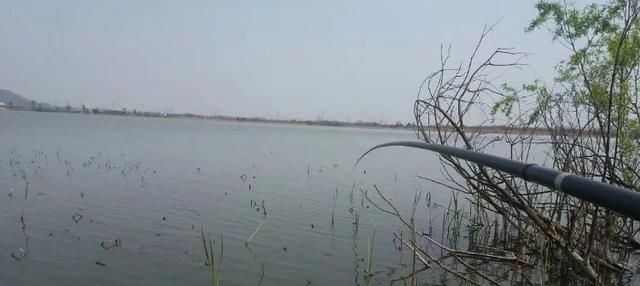 冬季|冬钓时,这三个位置不宜考虑,莫不信,老司机们都晓得,不学亏了