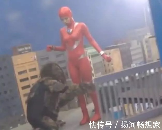 皮套|为什么女奥特曼那么少当她们把贴身皮套脱下后,观众明白了