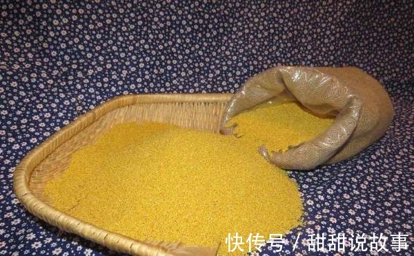 致病|煮小米粥时不可放“它们”,严重可“致病”,谁知道谁不生病