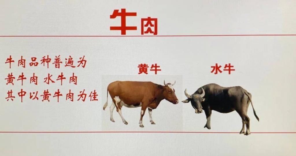  淄博|美食淄博 · 冬吃牛肉好处多
