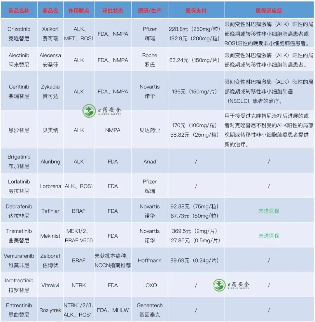 nmp肺癌，靶向及免疫治疗药物汇总表(2022年1月)